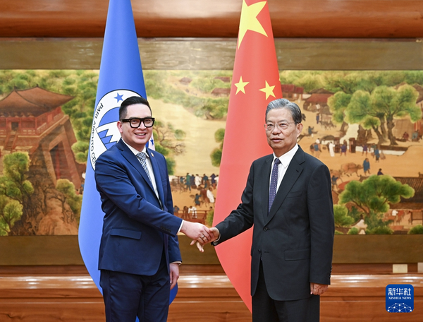 zhao 2.png